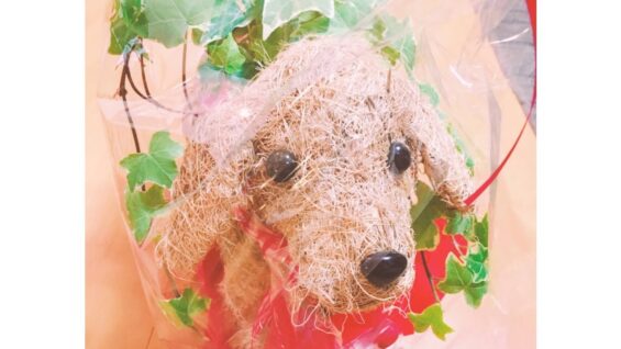 心と身体の言語化を通して、精神疾患を治せるものにしたい ~ ライフサイクルパートナー・精神科訪問看護師 えめさん ~